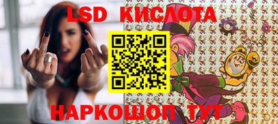 СК Бийск